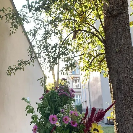 Apartment Special